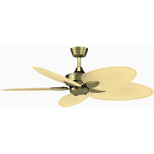  Fanimation Windpointe - 22 inch - Antique Brass with Natural Palm Narrow Oval Blades with Pull-Chain - FP7500AB