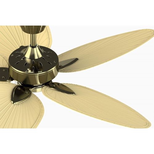  Fanimation Windpointe - 22 inch - Antique Brass with Natural Palm Narrow Oval Blades with Pull-Chain - FP7500AB