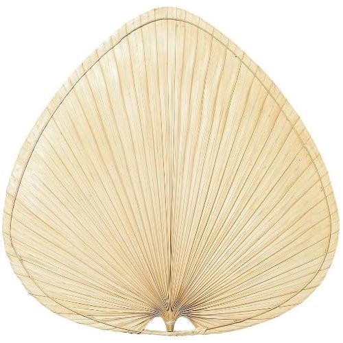  Fanimation PAP1 Wide Oval Palm Palisade Blade, 22-Inch, Set of 8