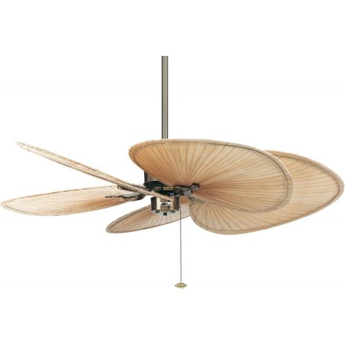  Fanimation FP320AB1 Islander 5 Blade Ceiling Fan in Antique Brass