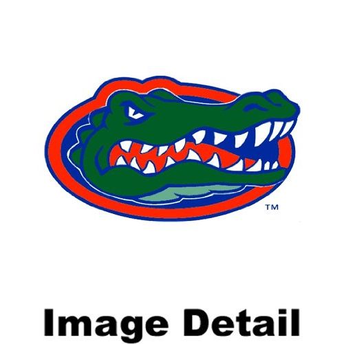  Fanmats UF University of Florida Gators Front & Rear Car Truck SUV Vinyl Car Floor Mats - 4PC