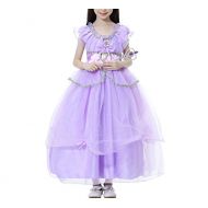 Fanny Sandy FS Little Girls Disney Princess Costume Halloween Cosplay Deluxe Dress Purple