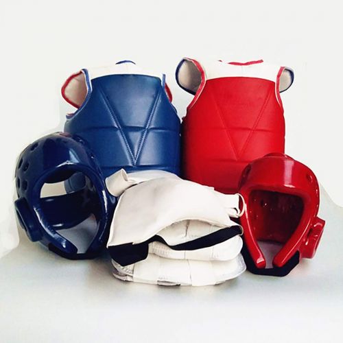  Fansport Sparring Gear Set Protective Professional Chest Guard Head Gear Arm Guard