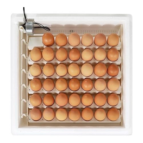  Farm Innovators 41 Egg Incubator with Automatic Egg Turning and Humidity Control, Egg Candler with Digital LCD Display for Improved Hatching, White