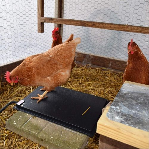  Farm Innovators Model HM-60P Heated Chicken Mat