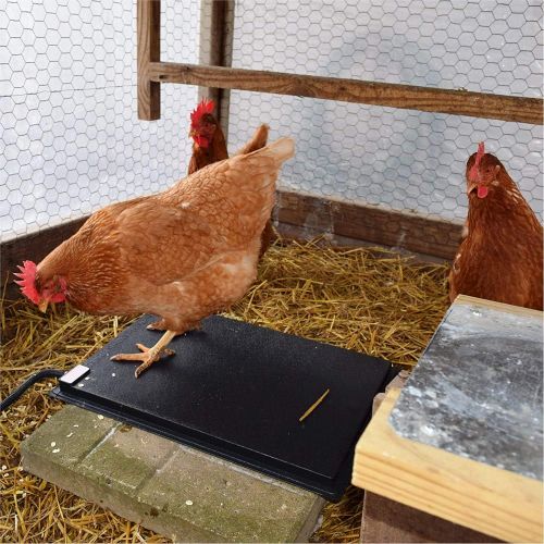  Farm Innovators Model HM-60P Heated Chicken Mat