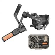 FeiyuTech AK2000s Gimbal Camera Handheld Stabilizer with Versatile Handle LCDscreen for DSLR Camera Sony a6300 a6400 a6500 Canon M50 EOS Panasonic Nikon Fujifilm(Advanced Version),
