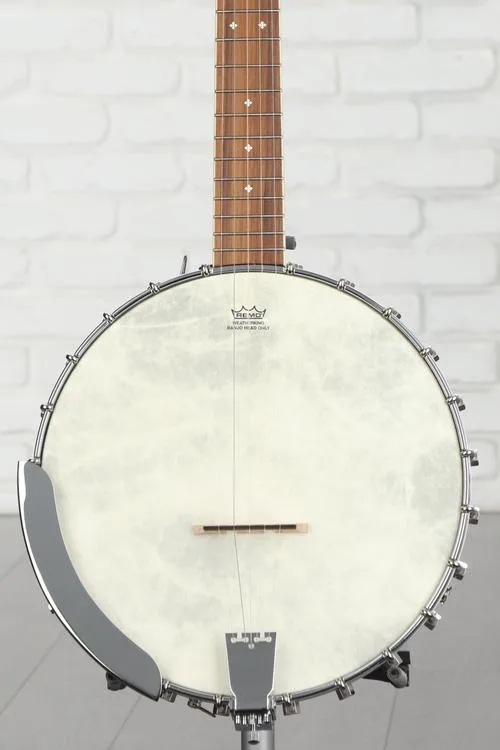 Fender PB-180E Acoustic-electric Banjo - Natural, Walnut Fingerboard