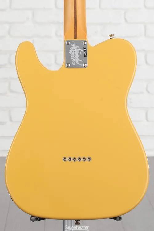  Fender Britt Daniel Telecaster Thinline - Amarillo Gold Demo