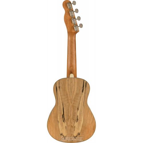  Fender Zuma Exotic Concert Ukulele - Spalted Maple