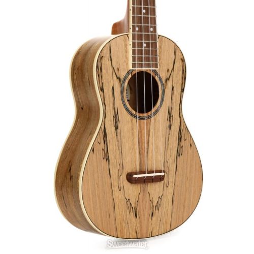  Fender Zuma Exotic Concert Ukulele - Spalted Maple