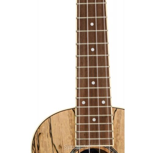  Fender Zuma Exotic Concert Ukulele - Spalted Maple