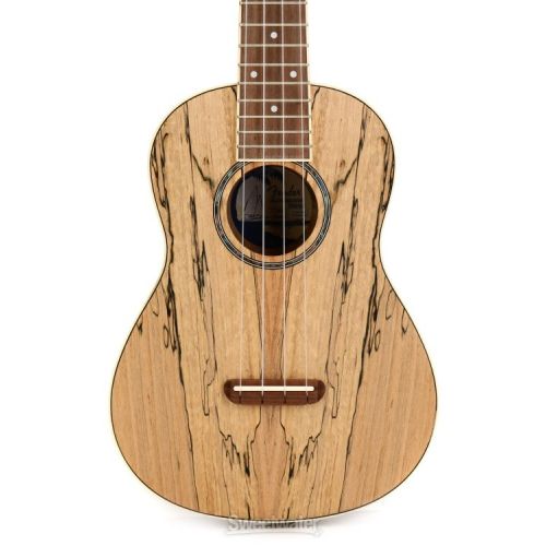  Fender Zuma Exotic Concert Ukulele - Spalted Maple