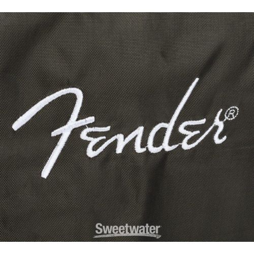  Fender Acoustic 100 Cover Demo