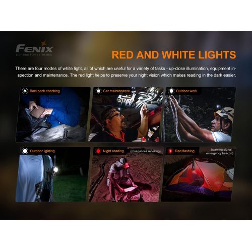  Fenix HM50R v2.0 Headlamp, 700 Lumen USB-C Rechargeable Lightweight with Red Light and Lumentac Battery Organizer
