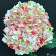 Festive Flower Festive Big Confetti White Hydrangea Flowers for Centerpieces - set of 15, 20 or 40