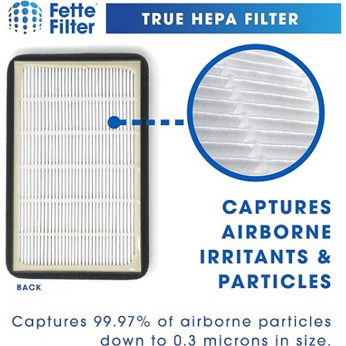  Fette Filter - FLT4010 Replacement Filter Compatible with GermGuardian Filter A for Models AC4010 & AC4020 Series and Black + Decker Model BXAP040 Air Purifiers - Pack of 2