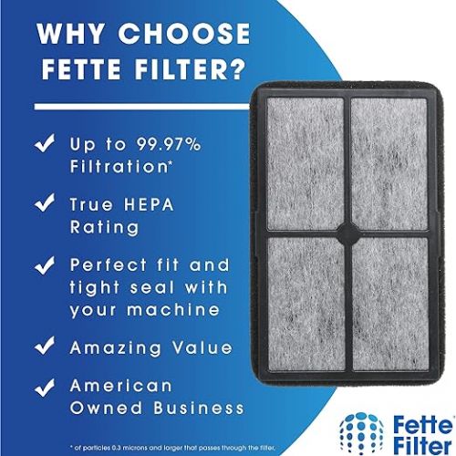  Fette Filter - FLT4010 Replacement Filter Compatible with GermGuardian Filter A for Models AC4010 & AC4020 Series and Black + Decker Model BXAP040 Air Purifiers - Pack of 2