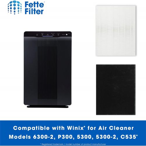  Fette Filter 2-Pack of Premium Quality HEPA Filters Plus 8 Carbon Replacement Filters Compatible with Winix Filter A 115115 Size 21 Plasma Wave air Purifier 5300 6300 5300-2 6300-2