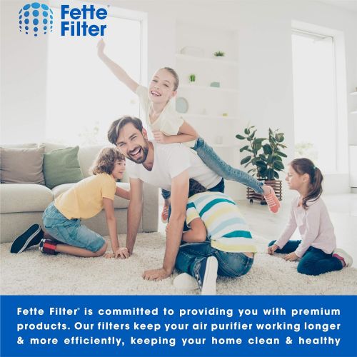  Fette Filter 2-Pack of Premium Quality HEPA Filters Plus 8 Carbon Replacement Filters Compatible with Winix Filter A 115115 Size 21 Plasma Wave air Purifier 5300 6300 5300-2 6300-2