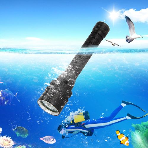  FidgetFidget Flashlight for Underwater 100M UV 395nm 3x XPE LED Scuba Diving Torch+18650+Charger