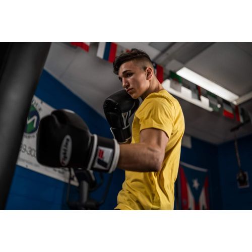  Fighting Sports Fury Professional Training Gloves