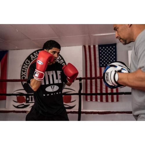  Fighting Sports Fury Professional Training Gloves