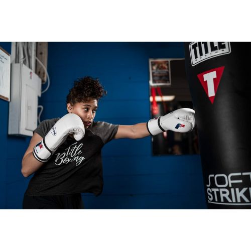  Fighting Sports Fury Professional Training Gloves