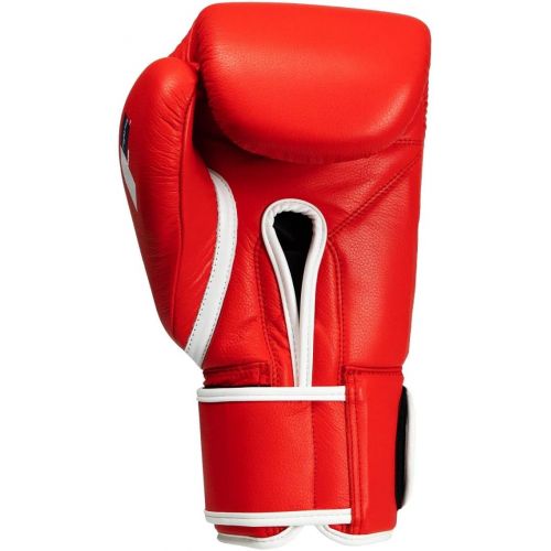  Fighting Sports Fury Professional Training Gloves