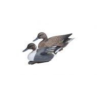 Final Approach FINAL APPROACH Floating Pintail 474340FA Decoy High-Definition 6 Pack