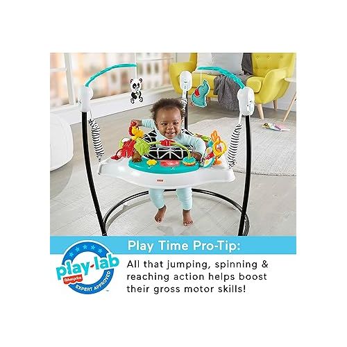 피셔프라이스 Fisher-Price Baby Bouncer Animal Wonders Jumperoo Activity Center With Music Lights Sounds And Developmental Toys