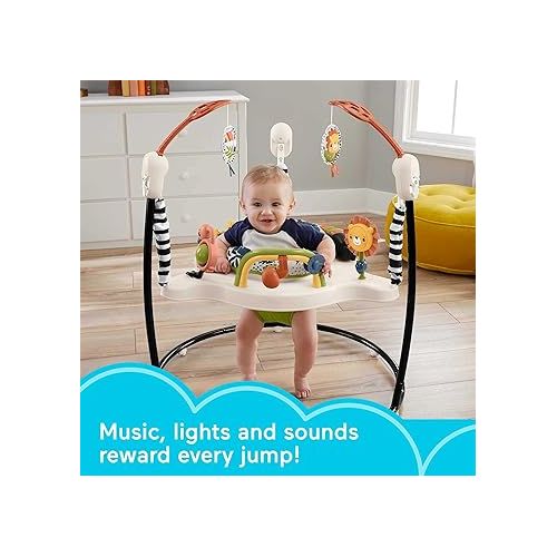 피셔프라이스 Fisher-Price Baby Bouncer Palm Paradise Jumperoo Activity Center with Music Lights Sounds and Developmental Toys?
