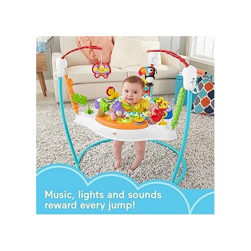 피셔프라이스 Fisher-Price Baby Bouncer Animal Activity Jumperoo With Music Lights Sounds And Developmental Toys For Infants