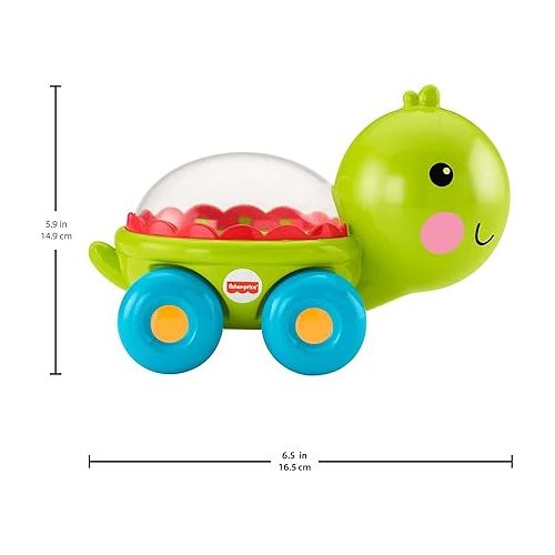 피셔프라이스 Fisher-Price Baby Crawling Toy Poppity Pop Turtle Push-Along Vehicle with Ball Popping Sounds for Infants Ages 6+ Months?