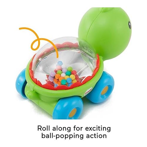 피셔프라이스 Fisher-Price Baby Crawling Toy Poppity Pop Turtle Push-Along Vehicle with Ball Popping Sounds for Infants Ages 6+ Months?