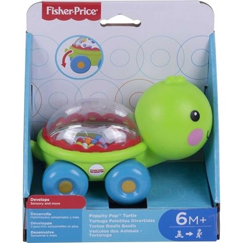 피셔프라이스 Fisher-Price Baby Crawling Toy Poppity Pop Turtle Push-Along Vehicle with Ball Popping Sounds for Infants Ages 6+ Months?