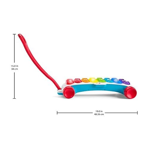 피셔프라이스 Fisher-Price Baby to Toddler Learning Toy Giant Light-Up Xylophone Pull-Along with Music & Phrases for Ages 9+ Months