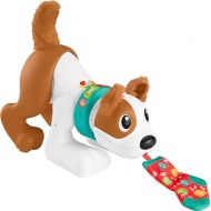 Fisher-Price Baby Learning Toy 123 Crawl with Me Puppy Electronic Dog with Smart Stages Content & Lights for Ages 6+ Months (Amazon Exclusive)