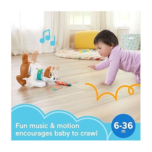 피셔프라이스 Fisher-Price Baby Learning Toy 123 Crawl with Me Puppy Electronic Dog with Smart Stages Content & Lights for Ages 6+ Months (Amazon Exclusive)