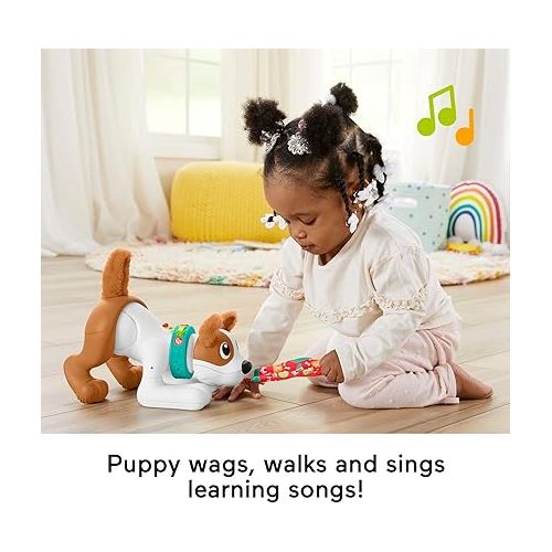 피셔프라이스 Fisher-Price Baby Learning Toy 123 Crawl with Me Puppy Electronic Dog with Smart Stages Content & Lights for Ages 6+ Months (Amazon Exclusive)