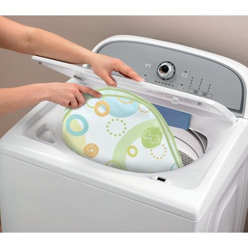 피셔프라이스 Fisher-Price Rock n Play Portable Bassinet