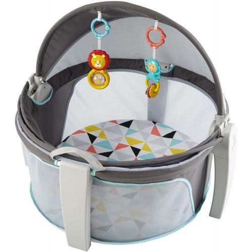 피셔프라이스 Fisher-Price On-The-Go Baby Dome, Gray and White