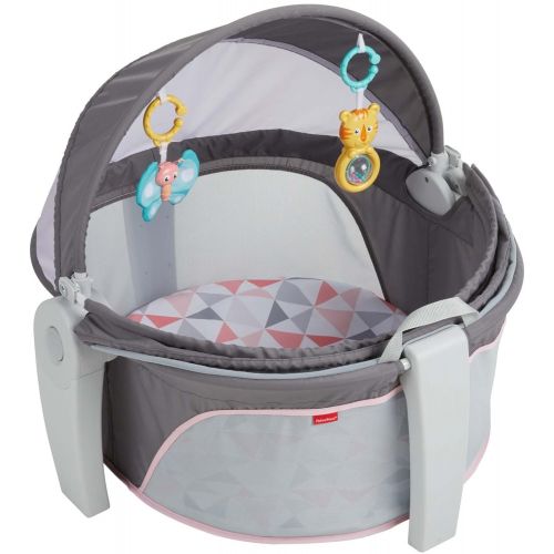 피셔프라이스 Fisher-Price On-The-Go Baby Dome, Gray and White