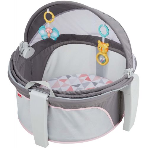 피셔프라이스 Fisher-Price On-The-Go Baby Dome, Gray and White