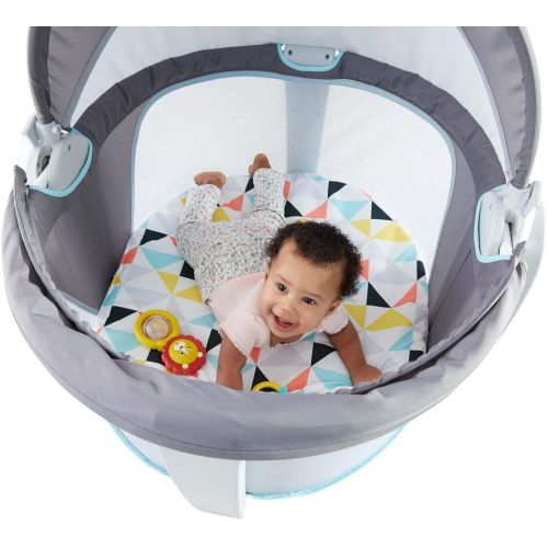 피셔프라이스 Fisher-Price On-The-Go Baby Dome, Gray and White