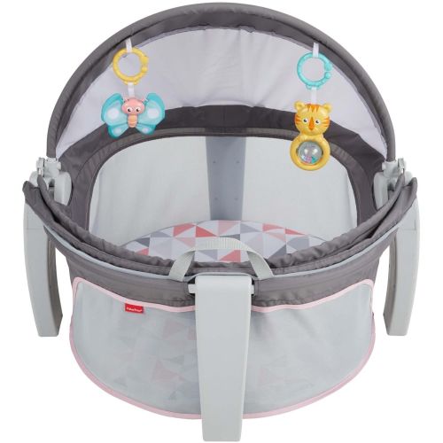 피셔프라이스 Fisher-Price On-The-Go Baby Dome, Gray and White