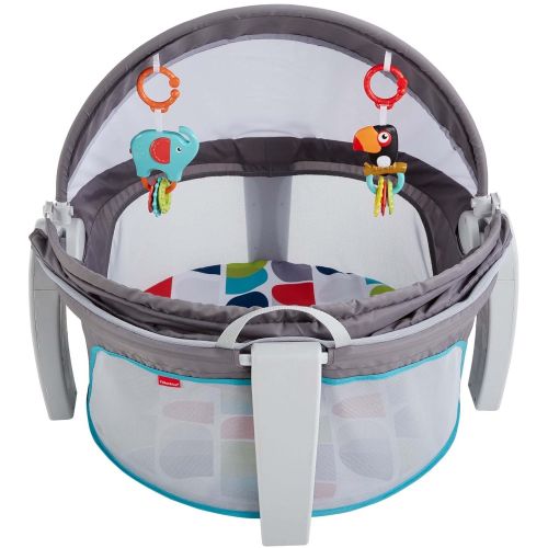 피셔프라이스 Fisher-Price On-The-Go Baby Dome, Gray and White