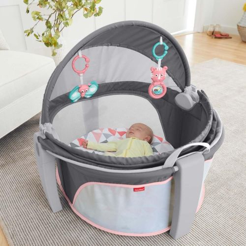 피셔프라이스 Fisher-Price On-The-Go Baby Dome, Gray and White