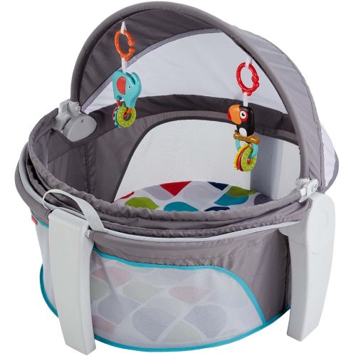 피셔프라이스 Fisher-Price On-The-Go Baby Dome, Gray and White