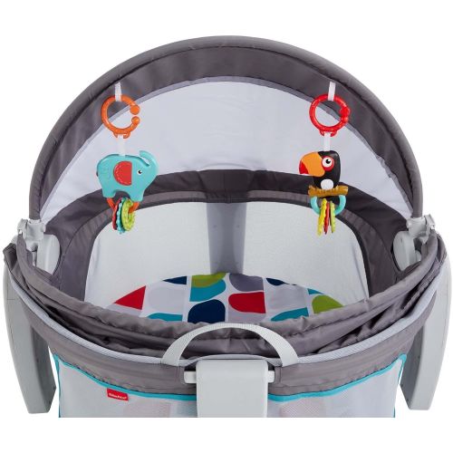 피셔프라이스 Fisher-Price On-The-Go Baby Dome, Gray and White